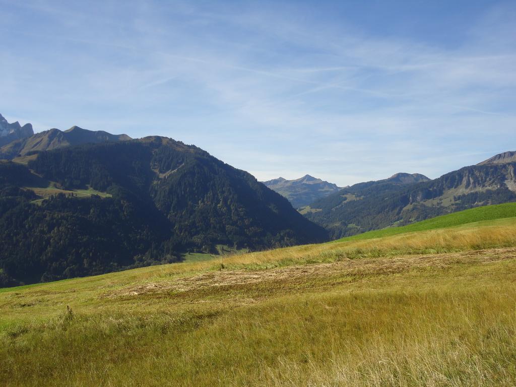 Haus Alpina Hotel Au (Vorarlberg) Exterior photo